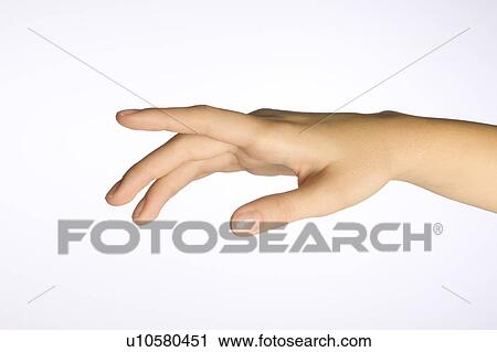 Stock Image - A woman's hand. Fotosearch
