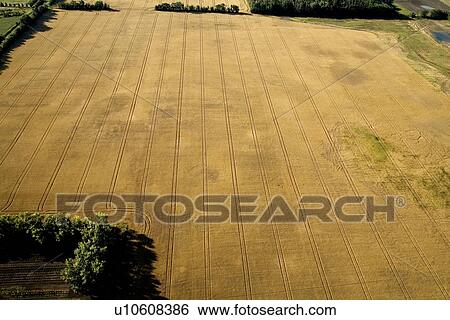 Stock Photograph - Aerial view of field with crop. Fotosearch