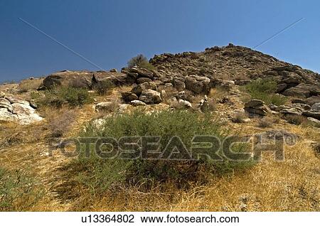 Anza-Borrego Desert State Park, California, USA View Large Photo Image Stock Image - Anza-Borrego Desert State Park, California, USA. Fotosearch