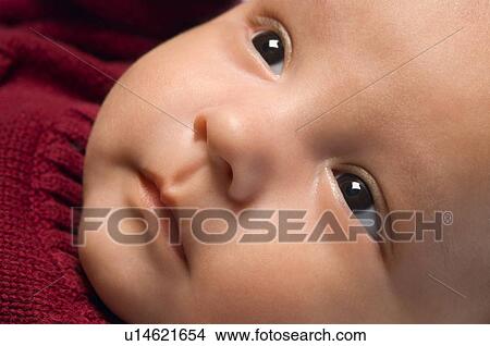Picture - Baby face. Fotosearch