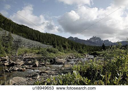 Back country, Jasper National Park, Alberta, Canada View Large Photo Image Stock Image - Back country, Jasper National Park, Alberta, Canada. Fotosearch
