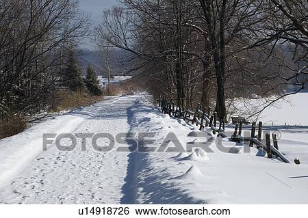 Bare trees line a snow covered country road View Large Photo Image Stock Photograph - Bare trees line a snow covered country road. Fotosearch