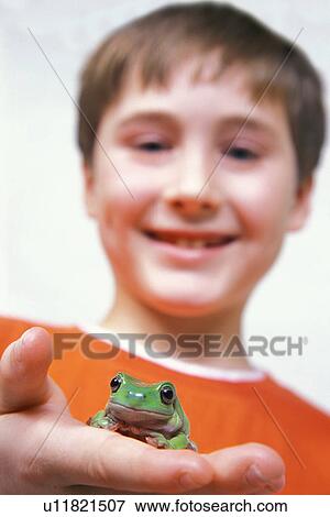 Boy and frog View Large Photo Image Stock Photo - Boy and frog. Fotosearch