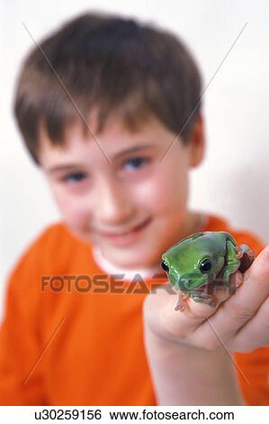 Boy and frog View Large Photo Image Stock Photograph - Boy and frog. Fotosearch