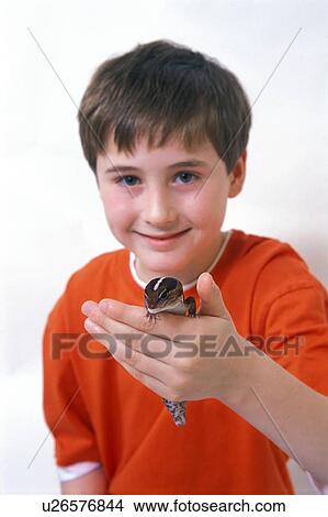 Boy and Lizard View Large Photo Image Picture - Boy and Lizard. Fotosearch