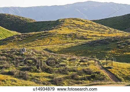 Stock Photo - California landscape, USA. Fotosearch