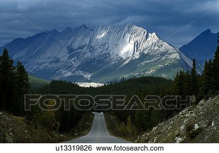 Canada; The Canadian Rockies and forest View Large Photo Image Stock Photograph - Canada; The Canadian Rockies and forest. Fotosearch
