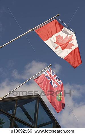 Canadian flag and Ontario flag, Muskoka, Ontario, Canada View Large Photo Image Stock Photograph - Canadian flag and Ontario flag, Muskoka, Ontario, Canada. Fotosearch