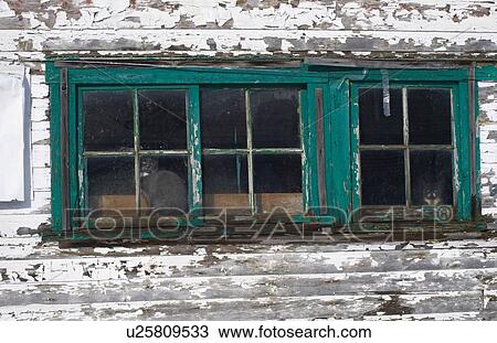 Stock Image - Cat looking out the window of a weather beaten country house. Fotosearch