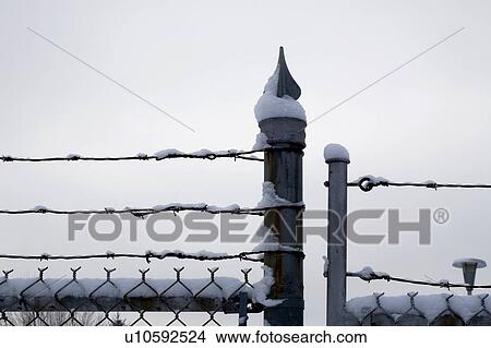 Chicken wire fence and barbed wire covered in snow View Large Photo Image Picture - Chicken wire fence and barbed wire covered in snow. Fotosearch