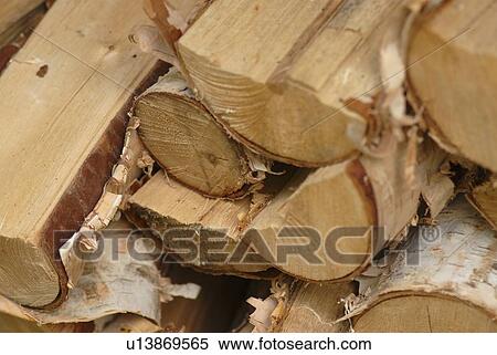 Stock Photography - Chopped wood. Fotosearch