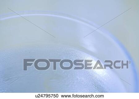 Close-up of a glass of water View Large Photo Image Stock Image - Close-up of a glass of water. Fotosearch