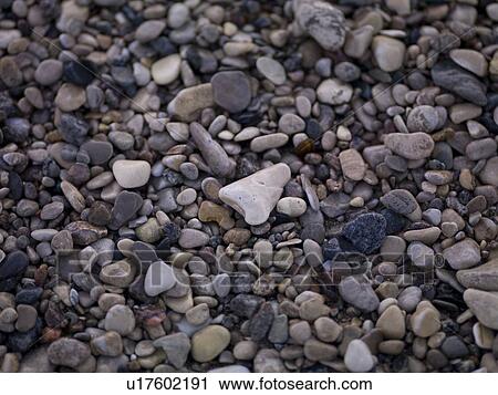 Stock Image - Close-up of pebbles, Gimli, Manitoba, Canada. Fotosearch