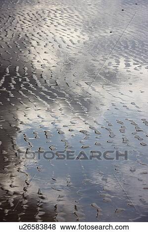 Clouds reflected in the water at low tide View Large Photo Image Stock Photo - Clouds reflected in the water at low tide. Fotosearch