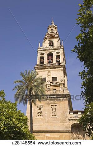 Picture - Cordoba, Cordoba Province, Spain; Torre del Alminar of the Great Mosque. Fotosearch