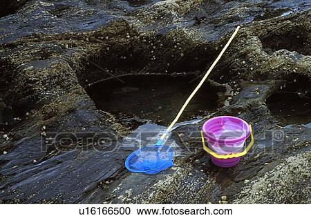 Stock Image - Cornwall, England, United Kingdom; Bucket and net beside a rockpool. Fotosearch