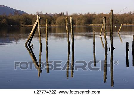 Cumbria, England; Poles of a damaged pier View Large Photo Image Stock Image - Cumbria, England; Poles of a damaged pier. Fotosearch