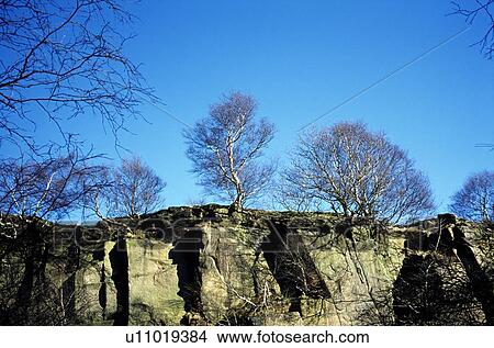 Derbyshire, England, United Kingdom; Trees atop a cliff View Large Photo Image Picture - Derbyshire, England, United Kingdom; Trees atop a cliff. Fotosearch