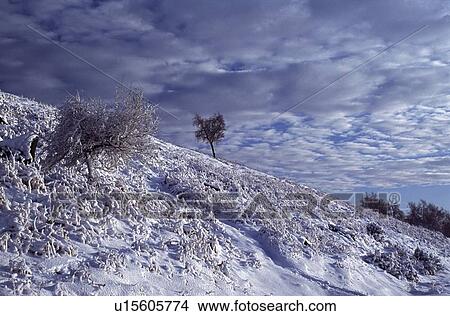 Derbyshire, England, United Kingdom; Snow covered hillside View Large Photo Image Picture - Derbyshire, England, United Kingdom; Snow covered hillside. Fotosearch