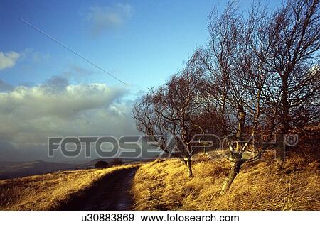 Stock Photo - Derbyshire, England, United Kingdom; Path through a national park. Fotosearch