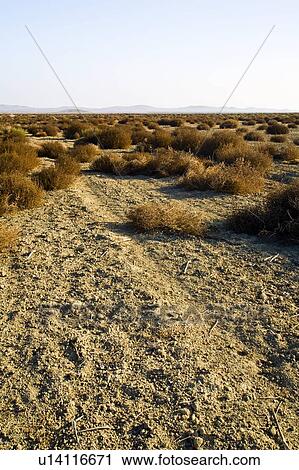 Desert landscape View Large Photo Image Stock Image - Desert landscape. Fotosearch