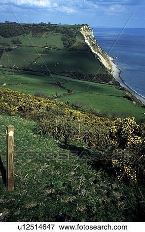 Stock Photo - Devon, England, United Kingdom; Coastal fields and paddocks. Fotosearch