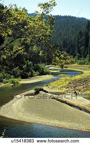 Stock Image - Eureka, California, USA; River running though a forest. Fotosearch