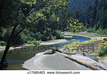 Eureka, California, USA; River winding through a Redwood forest View Large Photo Image Stock Image - Eureka, California, USA; River winding through a Redwood forest. Fotosearch