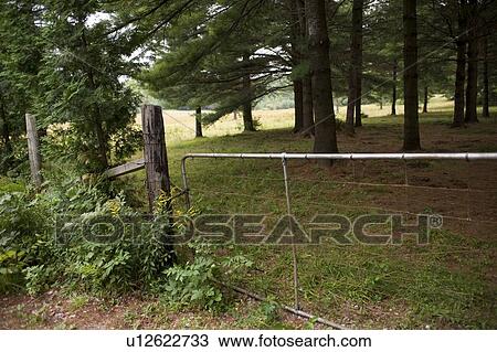 Fence by property, Muskoka, Ontario, Canada View Large Photo Image Stock Image - Fence by property, Muskoka, Ontario, Canada. Fotosearch