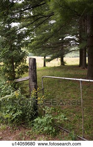 Fence by property, Muskoka, Ontario, Canada View Large Photo Image Stock Image - Fence by property, Muskoka, Ontario, Canada. Fotosearch