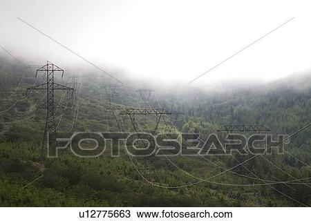 Stock Image - Fog along Lolo Pass, Mount Hood, Oregon Cascades, USA. Fotosearch