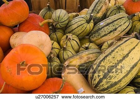 Fresh Produce View Large Photo Image Stock Photo - Fresh Produce. Fotosearch