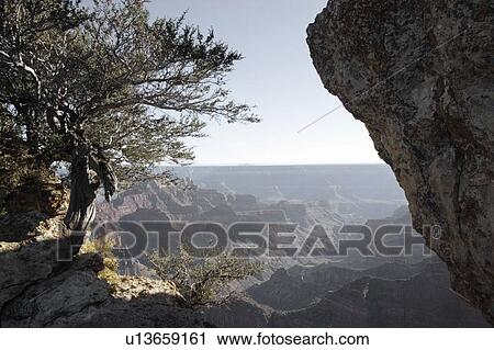 Grand Canyon, Arizona, USA View Large Photo Image Stock Image - Grand Canyon, Arizona, USA. Fotosearch