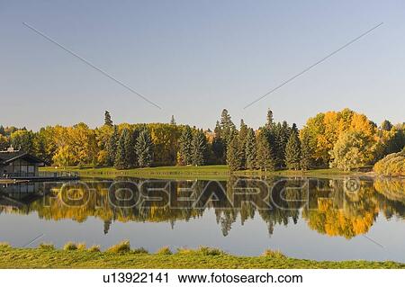 Hawrelak Park, Edmonton, Alberta, Canada; View of autumn trees View Large Photo Image Stock Image - Hawrelak Park, Edmonton, Alberta, Canada; View of autumn trees. Fotosearch