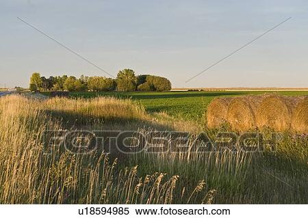 Hay bales View Large Photo Image Stock Photography - Hay bales. Fotosearch