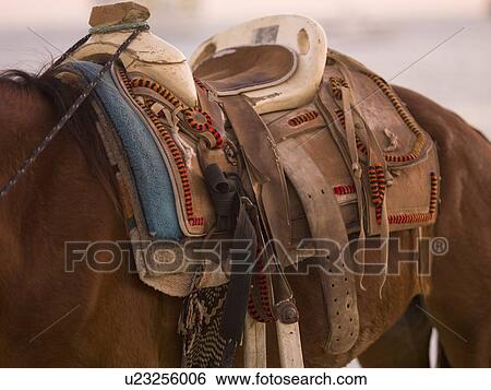 Horse and saddle View Large Photo Image Stock Photograph - Horse and saddle. Fotosearch