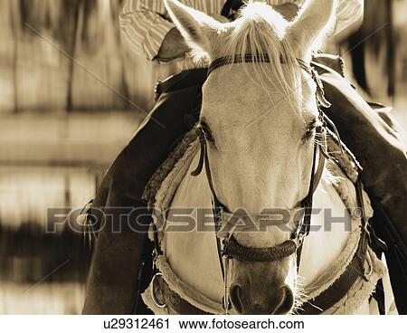Stock Image - Horseback riding. Fotosearch