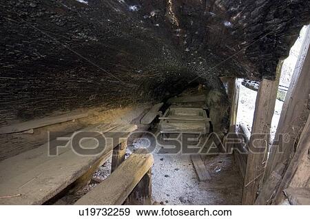 Stock Photo - Inside tharp log in Sequoia National Park, California, USA. Fotosearch