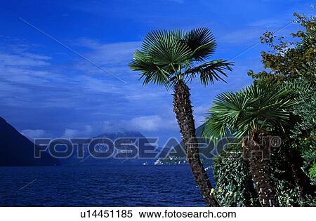 Stock Photography - Italy; View across a bay to the Italian Alps. Fotosearch