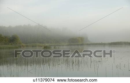 Lake of the Woods, Ontario, Canada; View across lake at sunrise View Large Photo Image Picture - Lake of the Woods, Ontario, Canada; View across lake at sunrise. Fotosearch