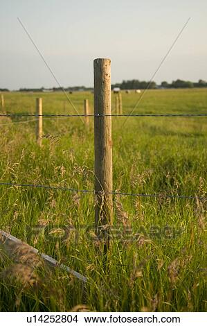 Picture - Lake of the Woods, Ontario, Canada; Prairies. Fotosearch
