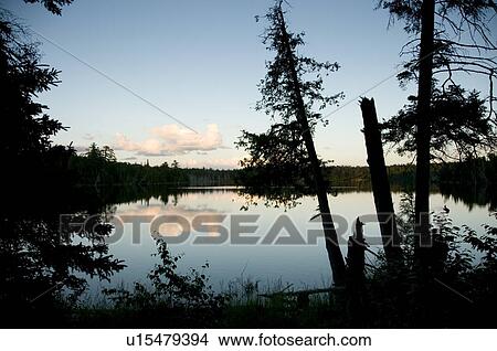 Picture - Lake of the Woods, Ontario, Canada; View through trees to lake. Fotosearch