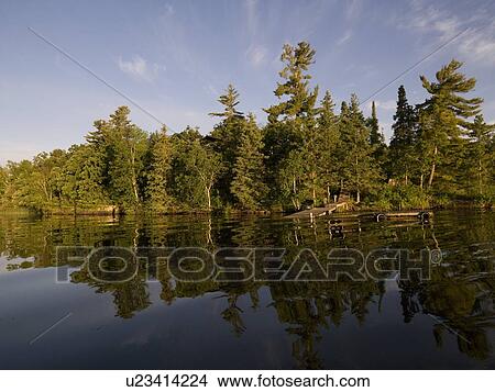 Picture - Lake of the Woods, Ontario, Canada . Fotosearch