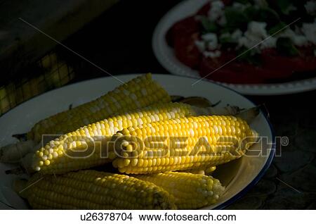 Lake of the Woods, Ontario, Canada; Plate of corn View Large Photo Image Picture - Lake of the Woods, Ontario, Canada; Plate of corn. Fotosearch
