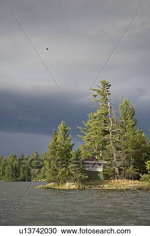 Lake of the Woods, Ontario, Canada; View of woods next to a lake View Large Photo Image Stock Image - Lake of the Woods, Ontario, Canada; View of woods next to a lake. Fotosearch