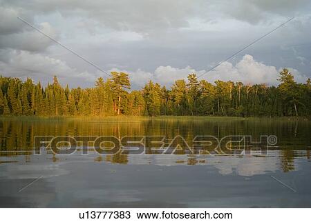 Lake of the Woods, Ontario, Canada; View of forest across a lake View Large Photo Image Stock Image - Lake of the Woods, Ontario, Canada; View of forest across a lake. Fotosearch