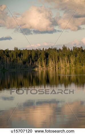 Lake of the Woods, Ontario, Canada View Large Photo Image Stock Image - Lake of the Woods, Ontario, Canada. Fotosearch