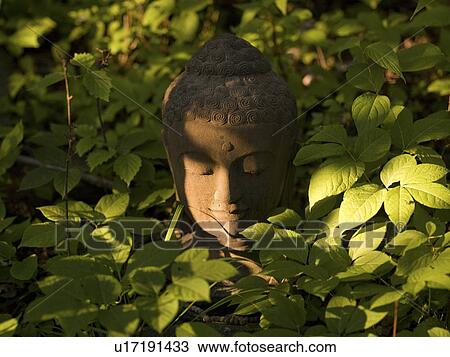 Stock Image - Lake of the Woods, Ontario, Canada; Buddha statue amongst plants. Fotosearch