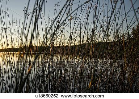 Stock Image - Lake of the Woods, Ontario, Canada. Fotosearch