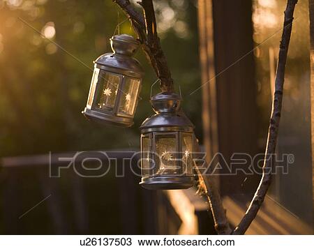 Lake of the Woods, Ontario, Canada; Lanterns hanging from branch View Large Photo Image Stock Image - Lake of the Woods, Ontario, Canada; Lanterns hanging from branch. Fotosearch